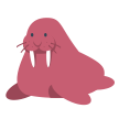 a pink walrus that i do not know the origins of